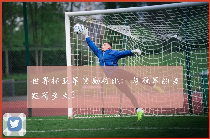 世界杯亚军奖励对比：与冠军的差距有多大？