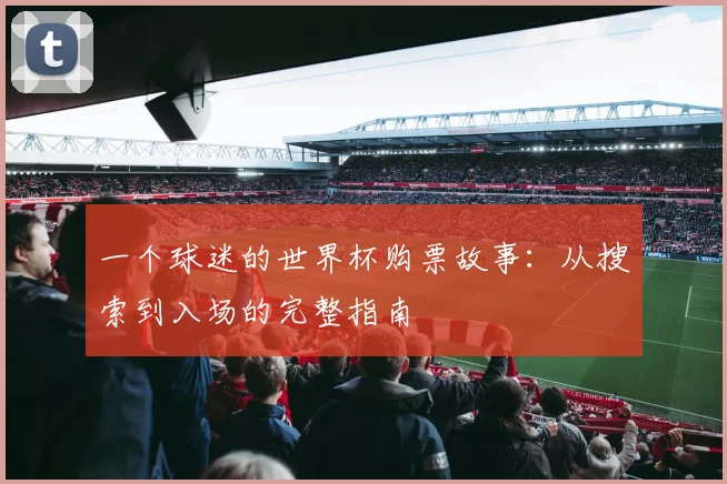 一个球迷的世界杯购票故事:从搜索到入场的完整指南