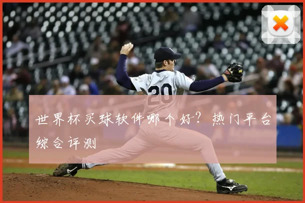 世界杯买球软件哪个好？热门平台综合评测