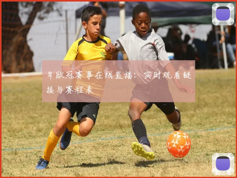 年欧冠赛事在线直播:实时观看链接与赛程表